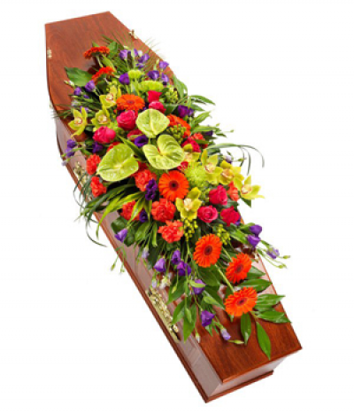 Bright Tropics - A vibrant burst of colour in a modern style, this casket spray includes anthuriums, orchid, hypericum, lisianthus, gerberas and roses to name a few. 
Please note that sometimes certain flower types may need to be substituted due to seasonal availability.