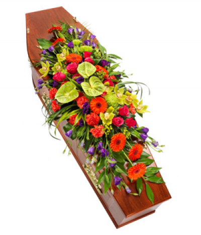 Bright Tropics - A vibrant burst of colour in a modern style, this casket spray includes anthuriums, orchid, hypericum, lisianthus, gerberas and roses to name a few. 
Please note that sometimes certain flower types may need to be substituted due to seasonal availability.