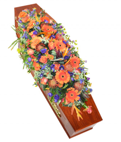 Tropical Paradise - A vivid orange and blue selection, including tropical birds-of-paradise, protea, gerbera, roses and more. 
Please note that sometimes certain flower types may need to be substituted due to seasonal availability.