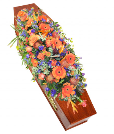 Tropical Paradise - A vivid orange and blue selection, including tropical birds-of-paradise, protea, gerbera, roses and more. 
Please note that sometimes certain flower types may need to be substituted due to seasonal availability.