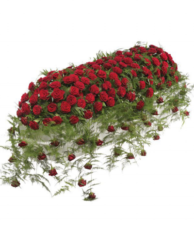 Supreme Rose Tribute - An extravagant full-casket covering of luxury red roses and beautiful trailing fern, with extra roses cascading in droplets amongst the greenery. An extra special tribute for a loved one.
