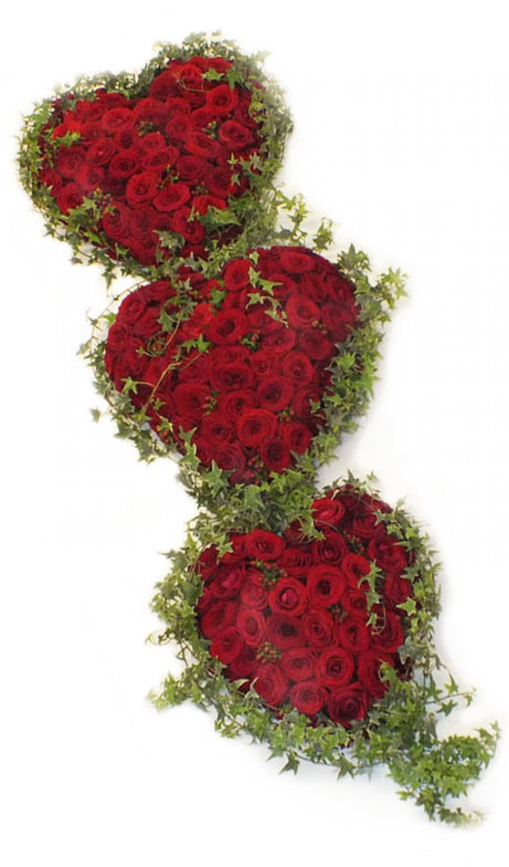 Triple Red Rose Hearts