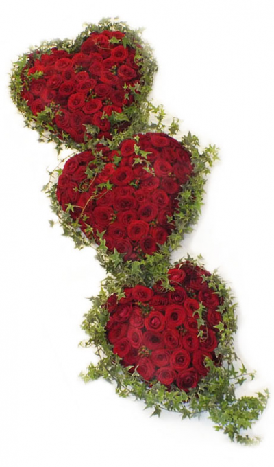 Triple Red Rose Hearts - A stunning trio of red rose massed hearts, finished with ivy trail edging, for a luxurious casket tribute.