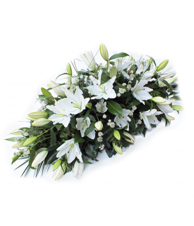 White Satin - A tasteful and classic arrangement of white oriental lilies with a touch of dainty seasonal filler flower and fresh foliages/grasses.
Please note that lilies can sometimes take time to open up and we would therefore appreciate as much notice as possible when placing your order.