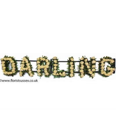 Darling - Gorgeous tribute lettering "Darling" crafted using a single line of ivory roses and green foliage. Any wording can be created in this style, and colours can be altered to suit your preferences- please call us to discuss.
£65.00 per letter for roses and foliage in this style.