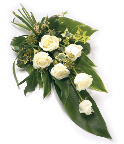 6 white rose sheaf - A classic tied sheaf consisting of 6 luxury white roses and foliage to compliment.
