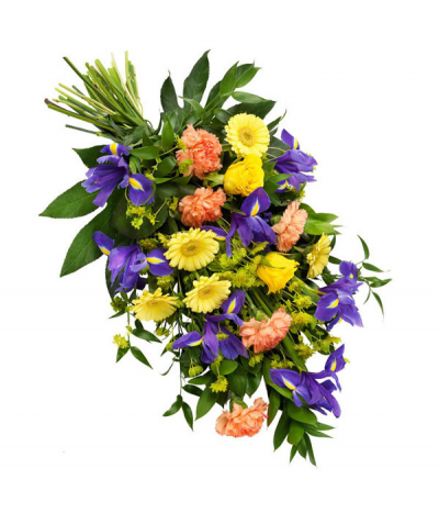 Sunbeam Sheaf - A bright selection tied in a natural sheaf style, including gerberas, carnations, irises and bupleurum with loose, flowing greenery.
Standard size shown in image.
Please note that sometimes certain flower types may need to be substituted due to seasonal availability.
