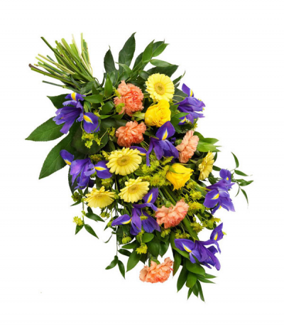 Sunbeam Sheaf - A bright selection tied in a natural sheaf style, including gerberas, carnations, irises and bupleurum with loose, flowing greenery.
Standard size shown in image.
Please note that sometimes certain flower types may need to be substituted due to seasonal availability.