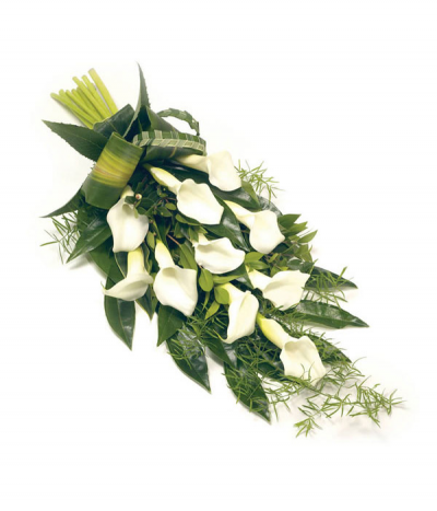 Classic Calla Sheaf - An elegant tied sheaf of stunning white calla lilies, mixed with seasonal foliage and grasses.
Standard size shown (10 calla lilies).
Calla lily colour can be altered to suit your preferences- please call to discuss.