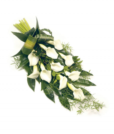 Classic Calla Sheaf - An elegant tied sheaf of stunning white calla lilies, mixed with seasonal foliage and grasses.
Standard size shown (10 calla lilies).
Calla lily colour can be altered to suit your preferences- please call to discuss.