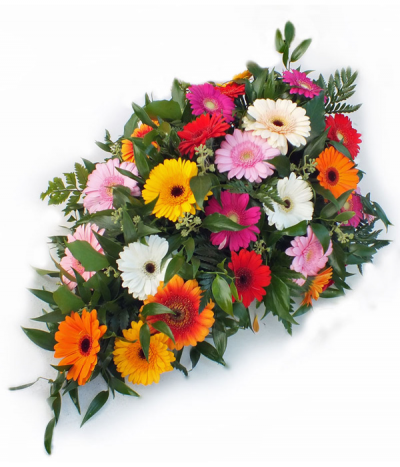 Rainbow Gerbera - A teardrop-shaped single-ended spray consisting of a vibrant mix of mini gerberas alongside lush foliage.