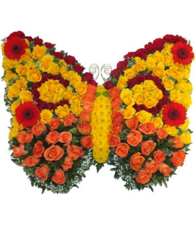 Bright Butterfly Tribute - A stunning display of orange and yellow roses in a butterfly shape tribute, finished with chrysanthemum details for the body, gerbera accents and twirly wire antennae.