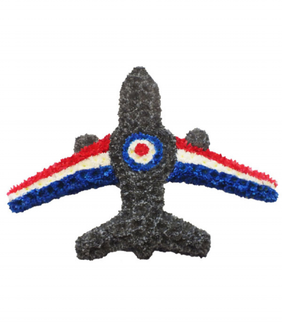 RAF Fighter Jet - A striking 2D tribute, using dyed chrysanthemums to form the shape of a jet plane with the RAF logo and striped wings.