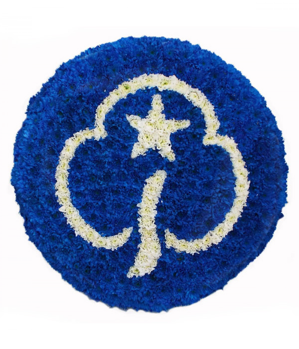 Girl Guide Badge