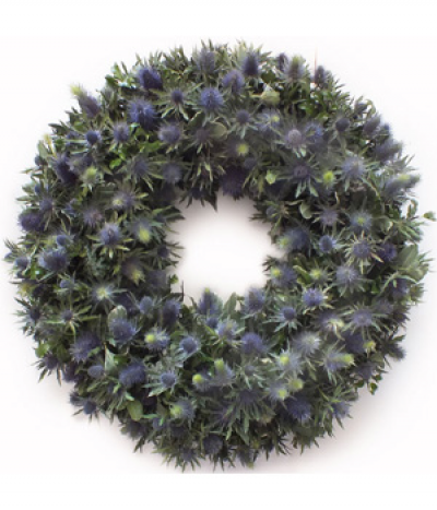 Scottish Thistle Wreath - A popular wreath design consisting of beautiful blue-tinged Scottish Eryngium thistles.