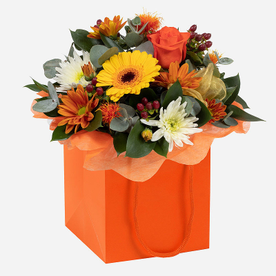 Wild Autumn - A beautifully presented seasonal gift to send for all occasions during the Autumn months. Delivered by a local florist, your gift will be filled with a delightful selection of vibrant flowers to make your recipient go “Wow!”